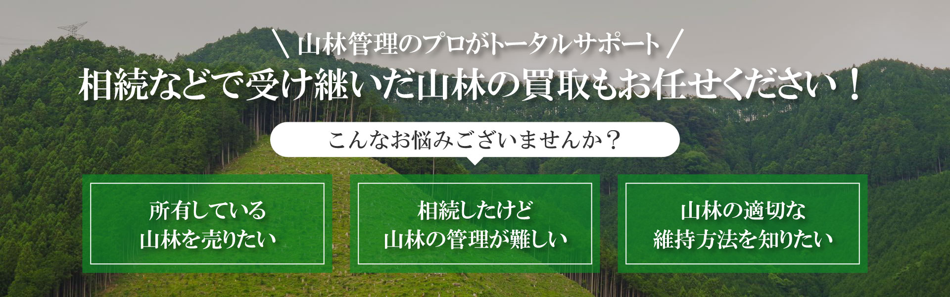 山林管理のプロがトータルサポート。相続などで受け継いだ山林の買取もお任せください！こんなお悩みございませんか？所有している山林を売りたい、相続したけど山林の管理が難しい、山林の適切な意地方法を知りたい