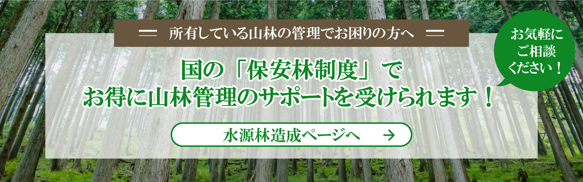 所有している山林の管理でお困りの方へ。国の「保安林制度」でお得に山林管理のサポートを受けられます！お気軽にご相談ください！水源林造成ページへ