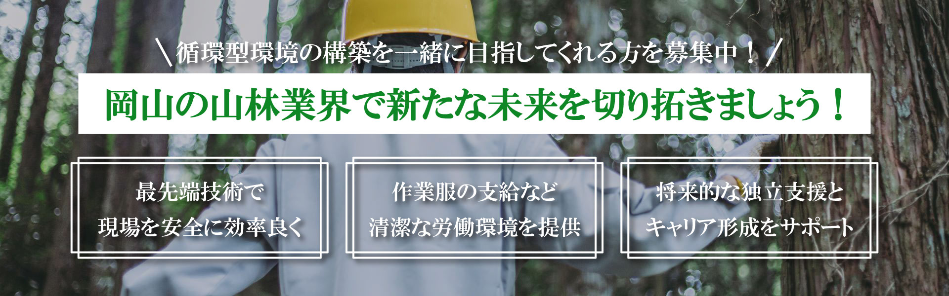 【中古】 育林技術を考える/清文社/平山三男（林業） 中古】 育林技術を考える/清文社/平山三男（林業）